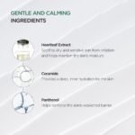 ANUA - HEARTLEAF 70% INTENSE CALMING CREAM 50ML - Image 4